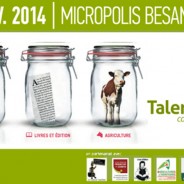 BESANÇON – La fête du tournage et des arts du bois